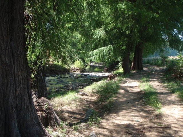Paseos para la familia